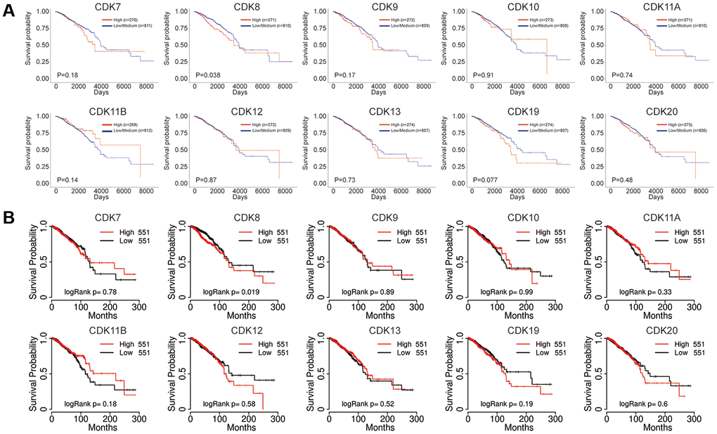 Prognostic value of the mRNA expression of distinct TA-CDKs in breast cancer patients. (A) UALCAN tool. (B) TCGA portal.