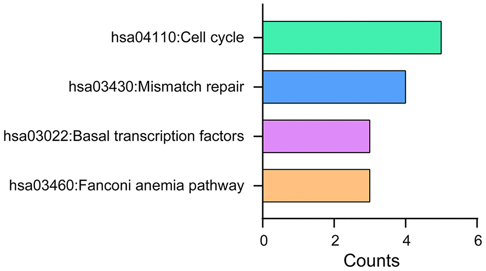 KEGG pathway analysis of TA-CDKs and their closest 200 neighboring genes. The analysis was performed using the DAVID 6.8 tool.