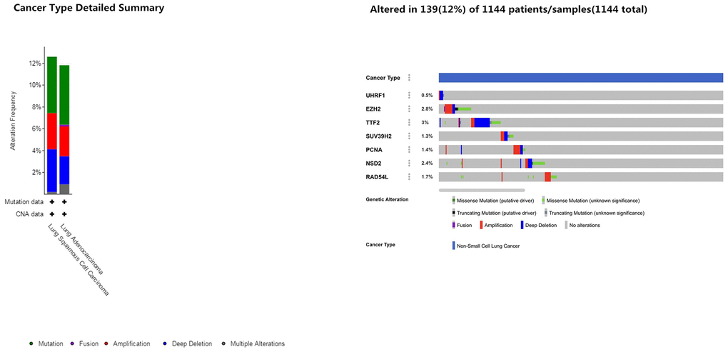 Frequency of mutations in epigenetic regulatory genes in NSCLC samples. The cBioportal database analysis shows that the frequency of mutations in UHRF1, EZH2, TTF2, SUV39H2, PCNA, WHSC1/NSD2 and RAD54L were 0.5%, 2.8%, 3%, 1.3%, 1.4%, 2.4% and 1.7%, respectively, in NSCLC samples (n=1144).