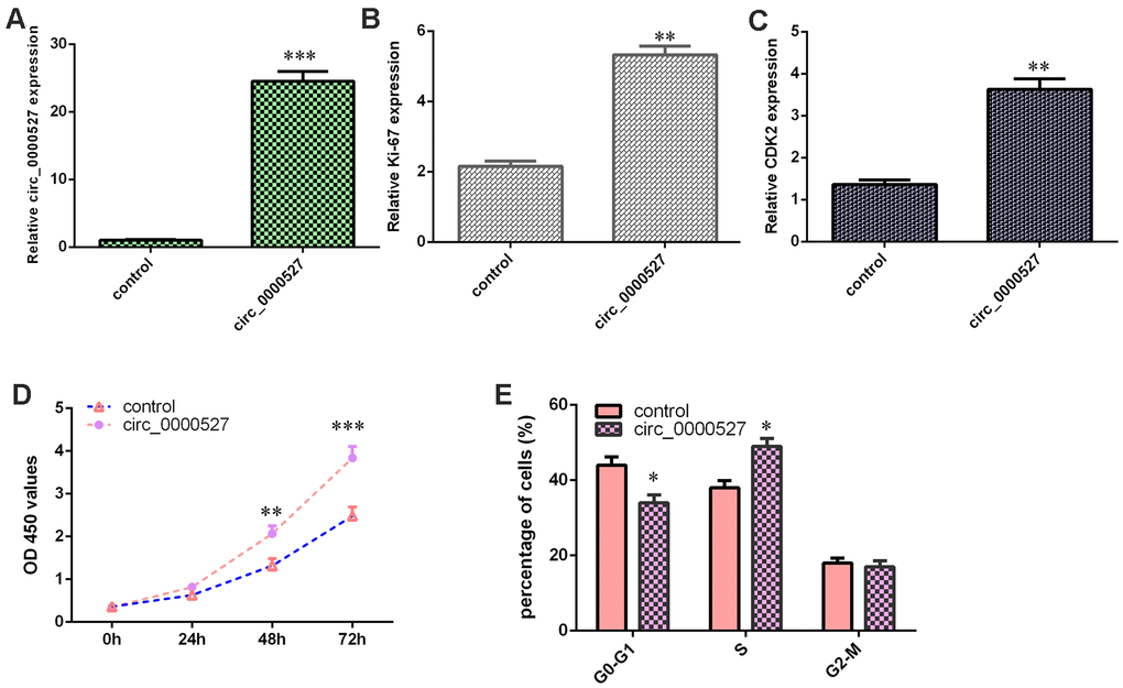 Ectopic expression of circ