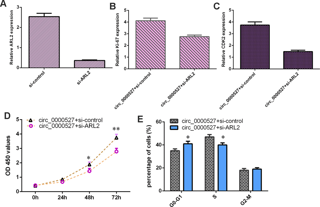 Ectopic expression of circ