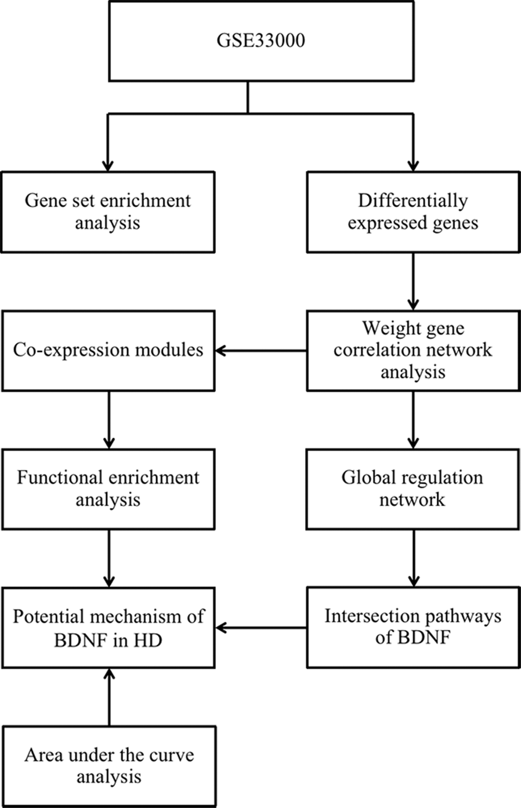 The workflow diagram of the present study. HD: Huntington’s disease.