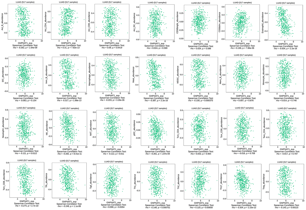 GNPNAT1 expression had a significant correlation with immune cells infiltration level in LUAD.