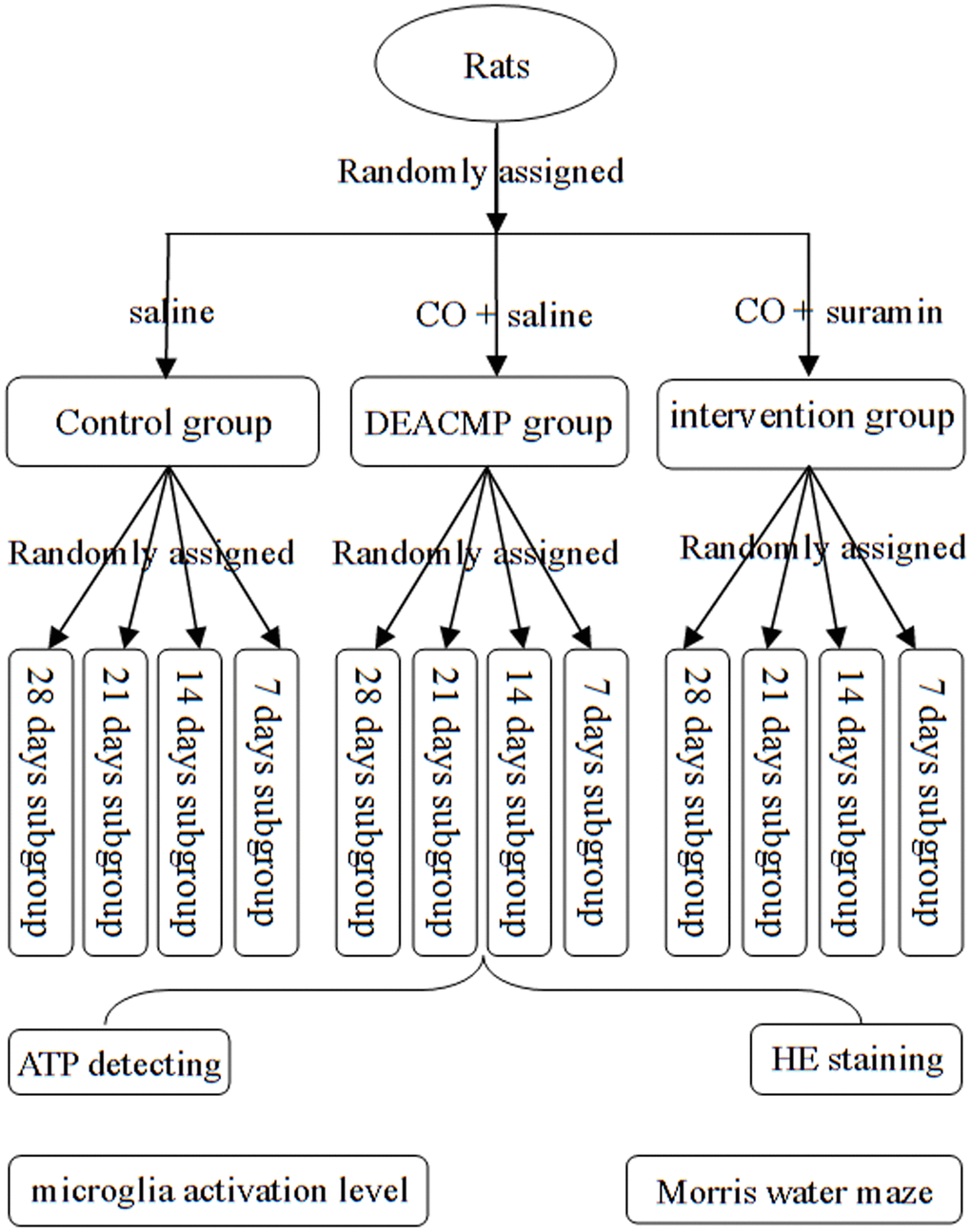 Flow diagram of this study.