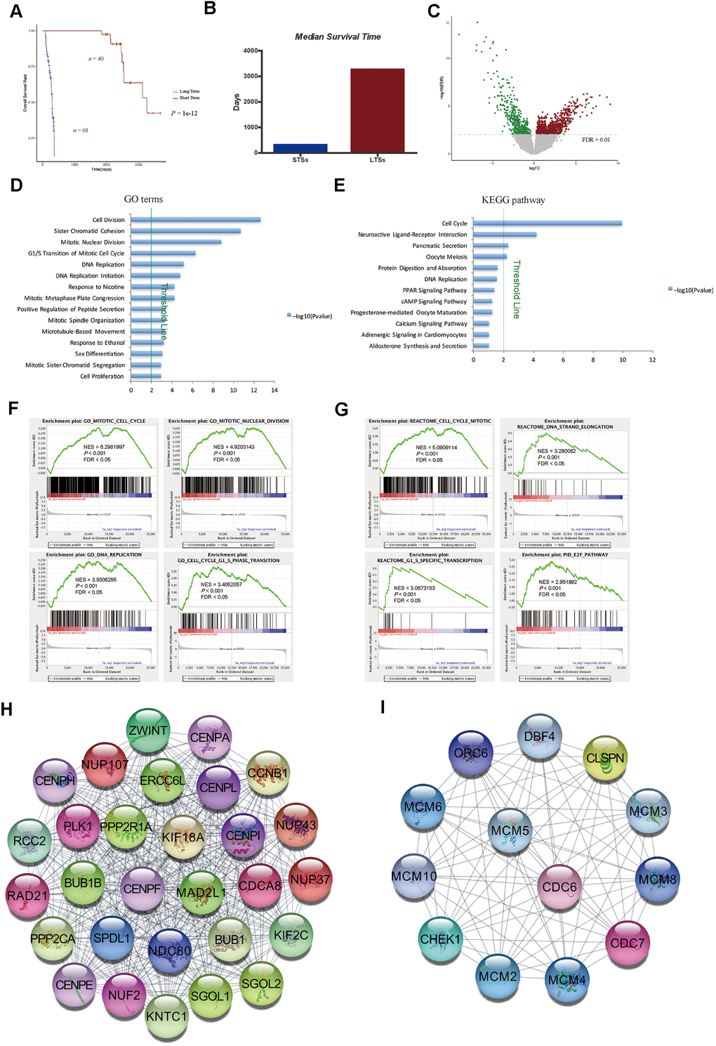 Gene expression profiling of LTSs and STSs of HCC. (A) Kaplan-Meier curve and log-rank test of STSs and LTSs of HCC. (B) The median survival days of STSs and LTSs of HCC. (C) Volcano plot of DEGs between 68 STS HCC samples and 40 LTS HCC samples. Red dots represent upregulated genes and green dots represent downregulated genes in HCC samples from STSs. (D) and (E) GO analysis (D) and KEGG pathway analysis (E) of DEGs via DAVID. Blue bars that cross the threshold line (P F) and (G) GSEA of the global gene expression profiles of 68 STS HCC samples and 40 LTS HCC samples. Gene sets annotated with GO terms (F) and Gene sets annotated with canonical pathways mainly from Reactome and PID databases (G) were used in the analysis. NES = normalized enrichment score; P = nominal P value; FDR = false discovery rate. (H) and (I) The MCODE algorithm was used to identify the most significant modules in the PPI network constructed from the upregulated genes in STS HCC samples. The MCODE score of module 1 was 29 (H). The MCODE score of module 2 was 13 (I).
