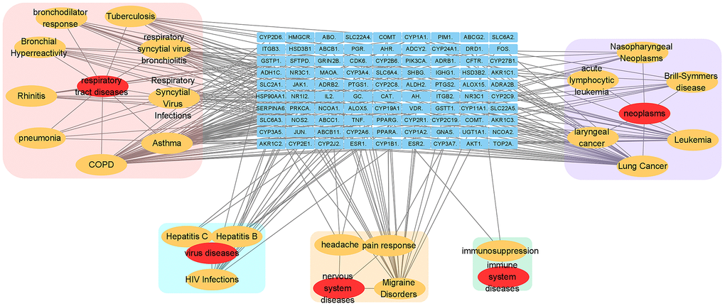 Relevant disease-target network of EG. The blue rectangles represent the targets of EG. The yellow ellipses are the related pathways and the red ones are their profile. Each category is filled with rounded rectangles of different colors. The pink one is respiratory tract disease. The peppermint green one is virus disease. The yellow one is nervous system disease. The green one belongs to immune system disease.