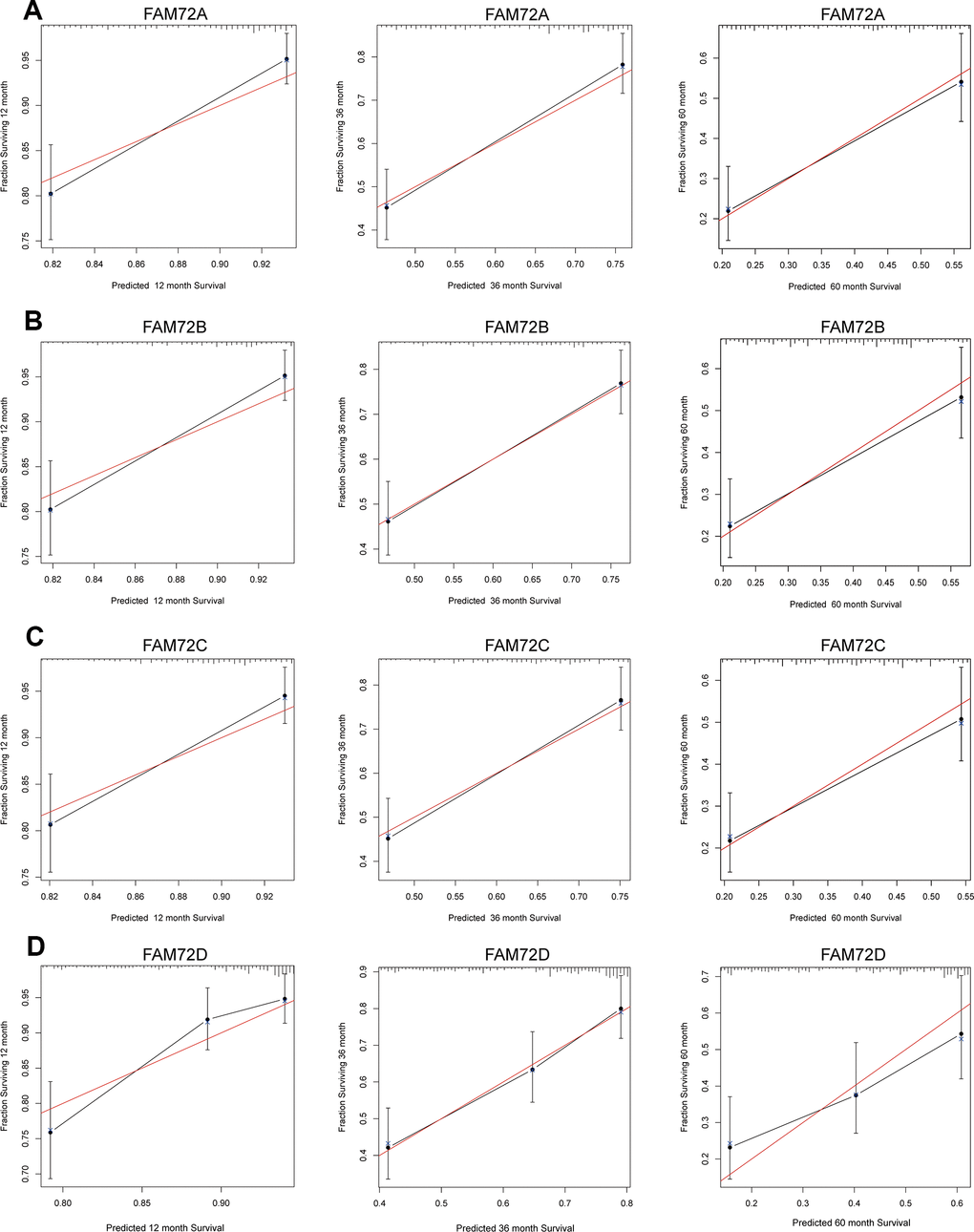 Calibration curve for predicting the probability of 1-, 3- and 5-year OS for LUAD patients. (A–D) The calibration curve of the nomogram in LUAD from TCGA data.