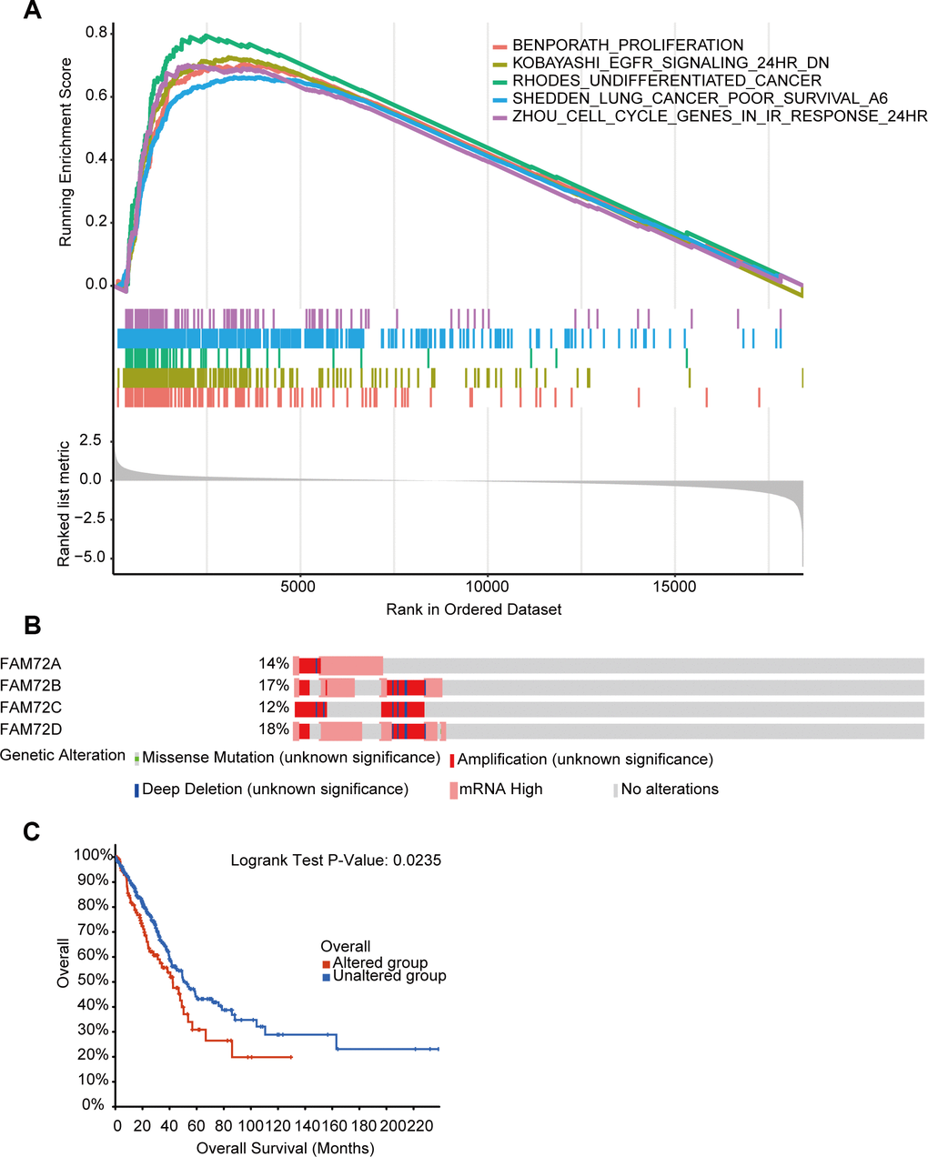 The functional pathways and gene alteration of FAM72A-D in LUAD. (A) Several pathways were enriched in FAM72A-D related LUAD, including the proliferation, EGFR signaling, undifferentiated cancer, lung cancer poor survival and cell cycle; (B, C) Genetic alteration in FAM72A-D and its association with OS of LUAD patients.