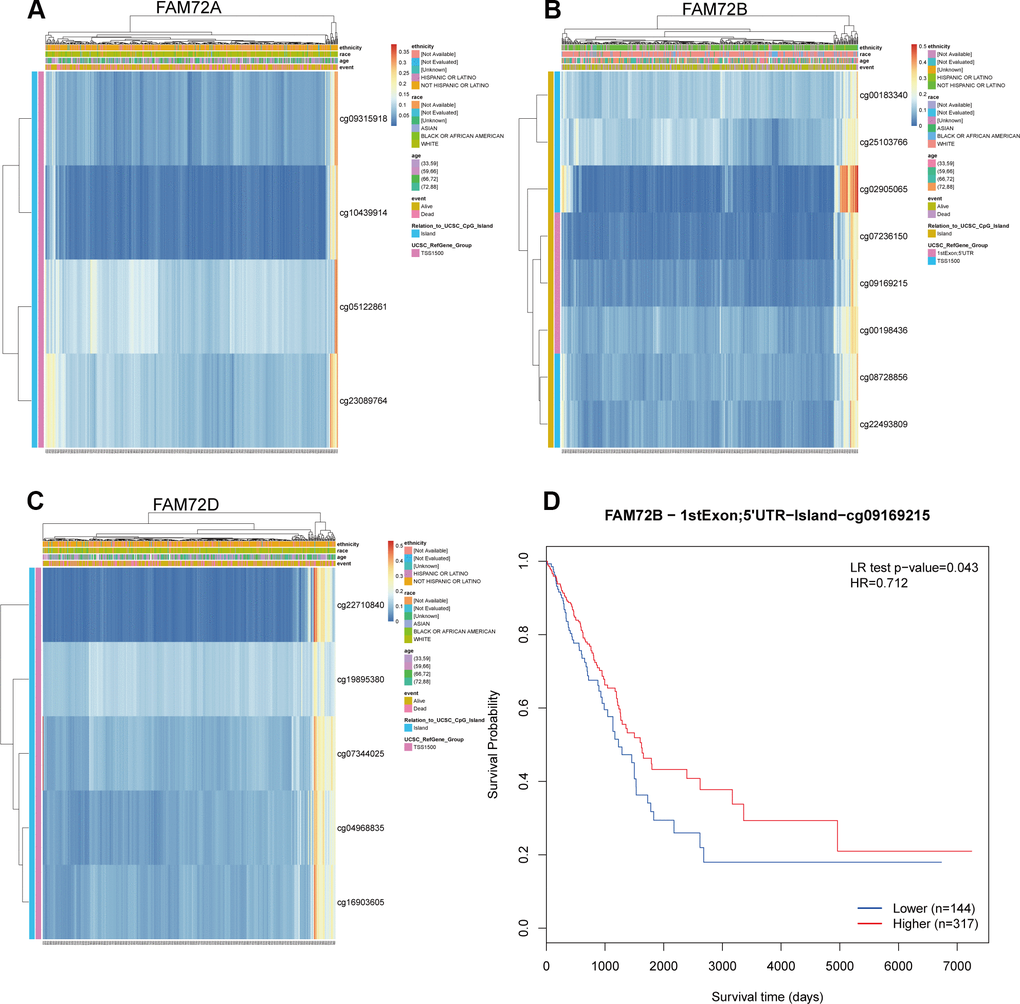 The methylation of FAM72A/B/D in LUAD. (A–C) The visualization between the methylation level and the FAM72A/B/D expression; (D) The Kaplan-Meier survival of the promoter methylation of FAM72B.