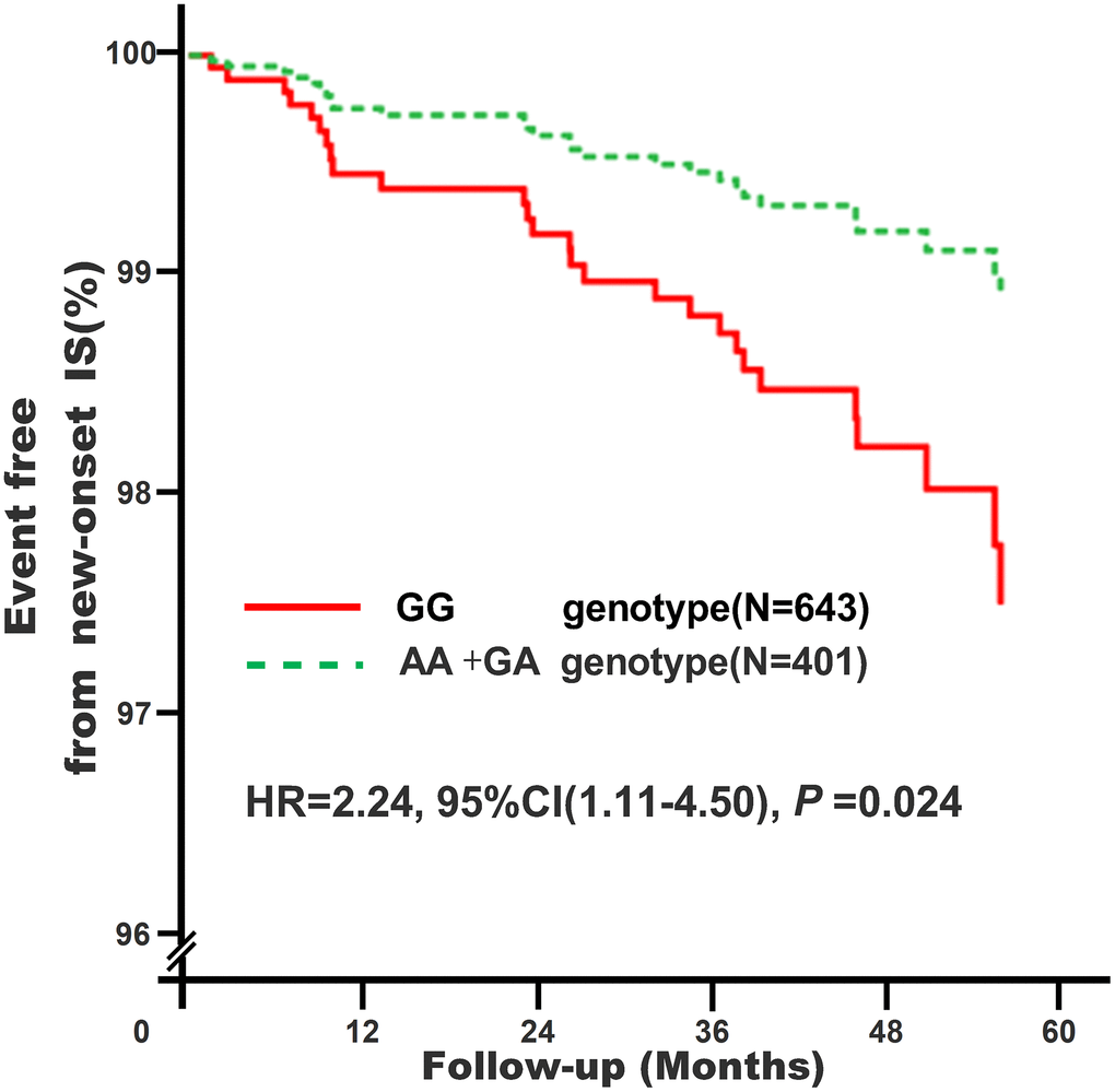 Association of KATP rs11046182 with new-onset IS in study subjects*. *Model 4: After adjustment for gender, age, smoking, drinking, WBC, BMI, liver function (ALT, AST and Alb), renal function (Scr, BUN and UA), HsCRP, HbA1C, HCY, and RAAS activity (ACE, renin, Ang I, Ang II and ALD), dyslipidemia (TRIG, TC, LDL-C, Apo B, HDL-C and Apo AI), medical condition (EH, CAD, T2D and AF), NYHA functional classification, combined medication (antiplatelet drugs, warfarin, statins, RSIs, BBs, MRAs, CCBs, diuretics, digoxin, nitrates, and hypoglycemic agents) and echocardiography index (RVD, RAD, LVD, LAD, and LVEF).