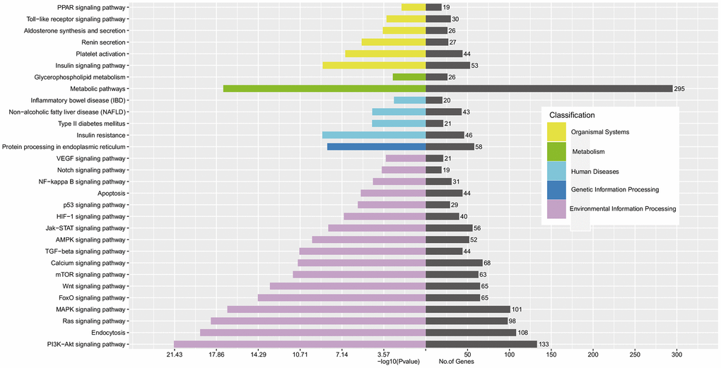 KEGG analysis of enrichment pathway regulated by CTGs of top 10 DE exo-miRs.