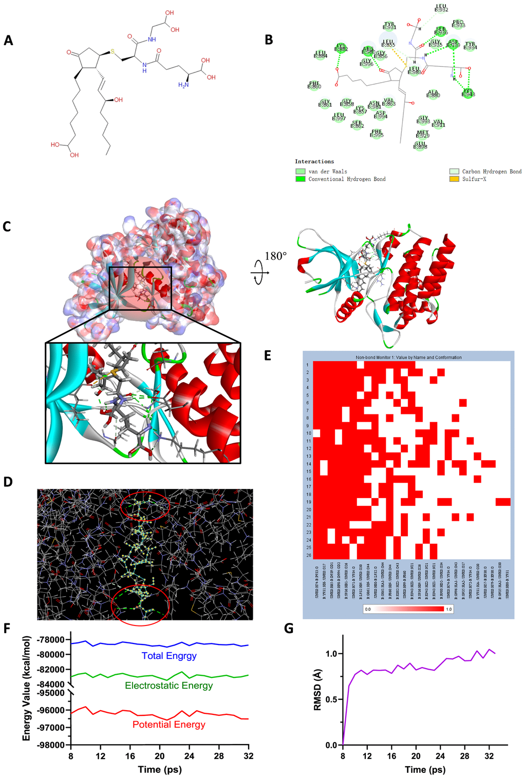 (A) Chemical structure of novel compound ZINC000004099068 selected from virtual screening. (B) Schematic drawing of inter-molecular interaction of the computed binding modes of ZINC000004099068 with JAK2. (C) Visualization of interactions between ligands and JAK2 (ZINC000004099068-JAK2 complex). The surface of binding area as well as active binding sphere were added. Blue represented positive charge, red represented negative charge and active binding sphere was shown as red region. Inhibitor was displayed in sticks, together with the structures around ligand-receptor junction were displayed in thinner sticks. (D) Mutual interactions between ZINC000004099068 and JAK2 under non-solvent environment after molecular dynamics simulation. The red circle showed chemical bonds existed in this complex. (E) Hydrogen bond heatmap in the progression of molecular dynamics. (F) Different kinds of energy values of ZINC000004099068-JAK2 complex. (G) Average backbone RMSD of ZINC00004099068-JAK2 complex. RMSD, root-mean-squared-deviation.