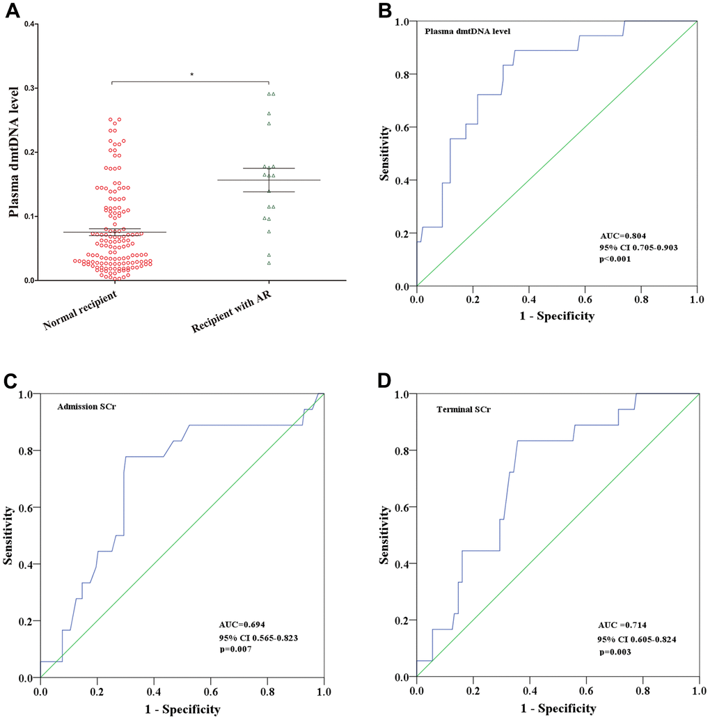 (A) Distribution of plasma dmtDNA in the normal recipient (n=143) and acute rejection (AR) (n=18) groups. (B–D) The receiver operating characteristic (ROC) curves of plasma dmtDNA (B), donor admission serum creatinine levels (C), and donor terminal serum creatinine levels (D).