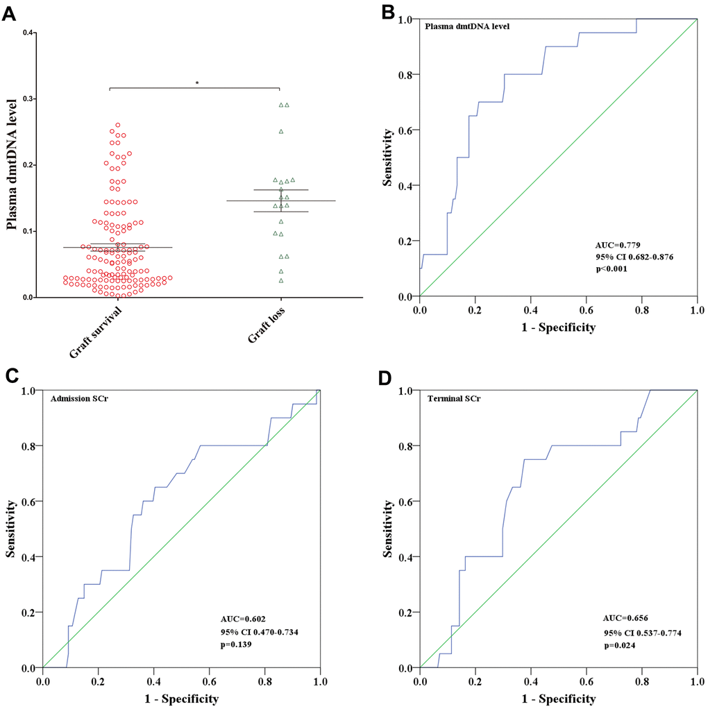 (A) Distribution of plasma dmtDNA in graft survival (n=141) and graft loss (n=20) groups. (B–D) The receiver operating characteristic (ROC) curves of plasma dmtDNA (B), donor admission serum creatinine levels (C), and donor terminal serum creatinine levels (D).