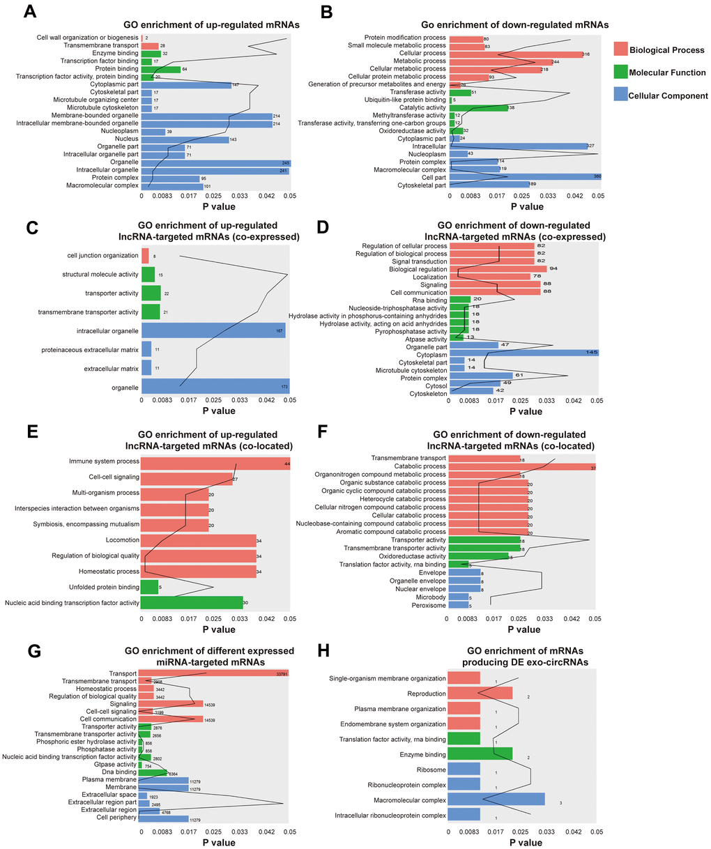 Identification the biological role of DE exo-mRNAs, lncRNAs, circRNAs and miRNAs by GO analysis. Go terms of up- (A) and down- (B) regulated exo-mRNAs, up- (C) and down- (D) regulated exo-lncRNA co-expressed mRNAs, up- (E) and down- (F) regulated exo-lncRNA co-located mRNAs, up- and down-regulated mRNAs targeted by exo-miRNAs (G) and derived from DE exo-circRNAs (H). We only presented top 20 terms with p-value under 0.05.