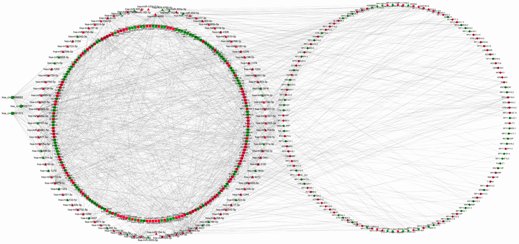 LncRNAs-circRNAs-miRNAs-mRNAs regulation network. DElncRNAs are depicted by diamonds, DEmRNAs are indicated by the square, DEcircRNAs are represented by circle and DE miRNAs are presented by triangle. The red represents up-regulated genes whereas green represents down-regulated genes.