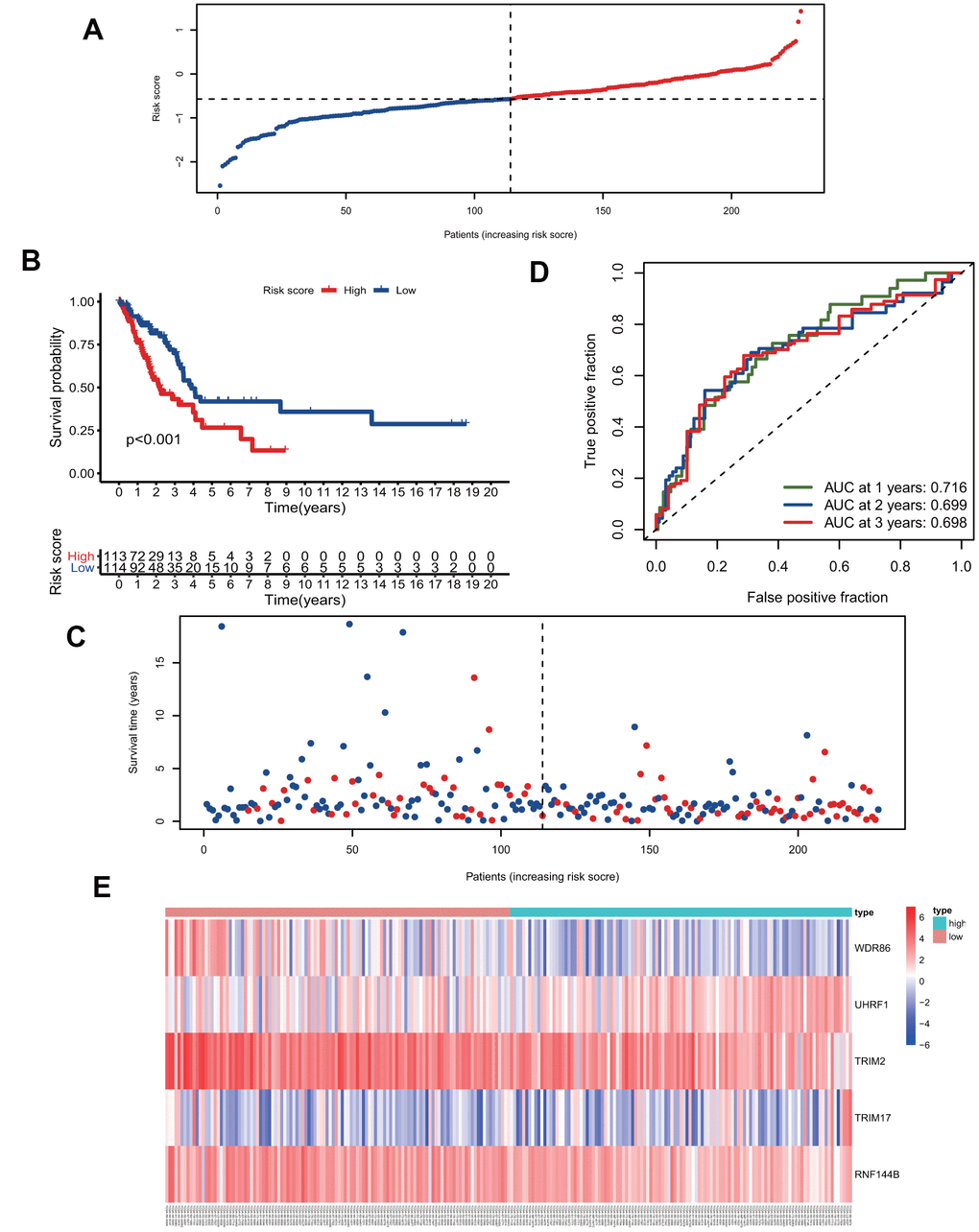 The five-gene signature predicts overall survival in the training group. (A) The distribution of risk-score and patients' grouping. (B) Kaplan-Meier survival curves of high and low-risk patients. (C) Vital status of patients. (D) ROC curves of the predictive model in the training group. (E) Heatmap of five genes in the training group.