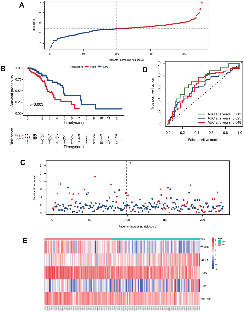 Validation of the predictive model. (A) The distribution of risk-score in the test group. (B) Kaplan-Meier survival curves of high and low-risk patients in the test group. (C) Vital status of patients in the test group. (D) ROC curves of the predictive model in the test group. (E) Heatmap of five genes in the test group.