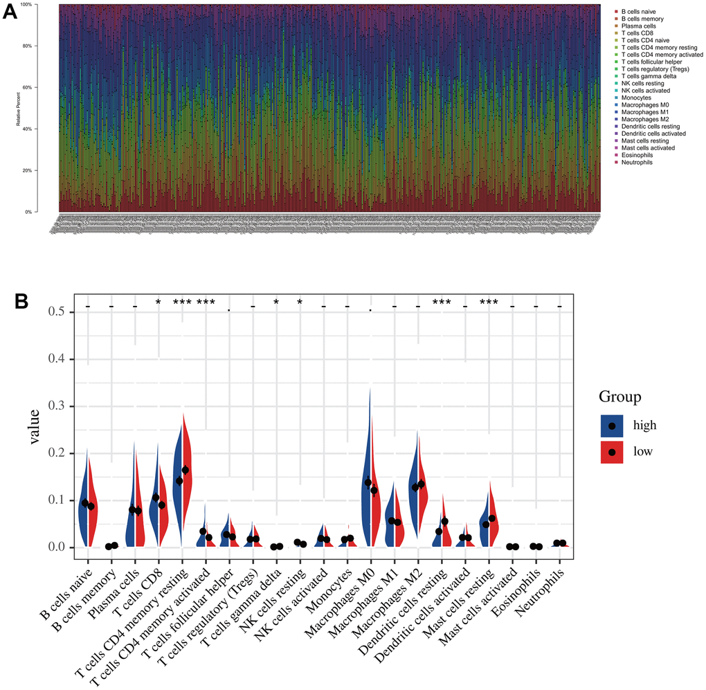 The immune infiltration analysis in low-risk and high-risk groups. (A) The distribution of the immune cells. (B) Differential analysis of immune cell infiltration in the high-risk and low-risk group.