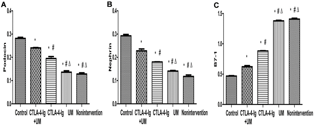 Comparison of expression of podocin, nephrin, and B7-1 proteins in rat kidneys. Data are expressed as means ± SD. IOD / area of podocin, nephrin, and B7-1: integrated optical density value per unit area of podocin, nephrin, and B7-1. (A) podocin, * P B) nephrin, * P C) B7-1, * P 