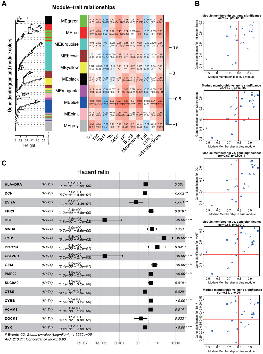 Weighted Gene Co-expression Network Analysis and screening of immune infiltration and prognostic genes. (A) WGCNA modules related to immune infiltrating cells. Different color represented different modules and correlation was displayed by heatmap. (B) Screening of genes associated with immunity and prognosis in the blue module. (C) Forest plot shows multivariate regression results and genes that potentially incorporated into the TMB-IF panel. WGCNA, weighted gene co-expression network analysis; TMB-IF, TMB infiltration. Tr1, type 1 regulatory cells; Th2, Type 2 T helper cells; Th17, Type 17 T helper cells; Tfh, Follicular helper T cells; MAIT, Mucosal-associated invariant T cells; DC, Dendritic cells; Tgd, Gamma-delta T cells.