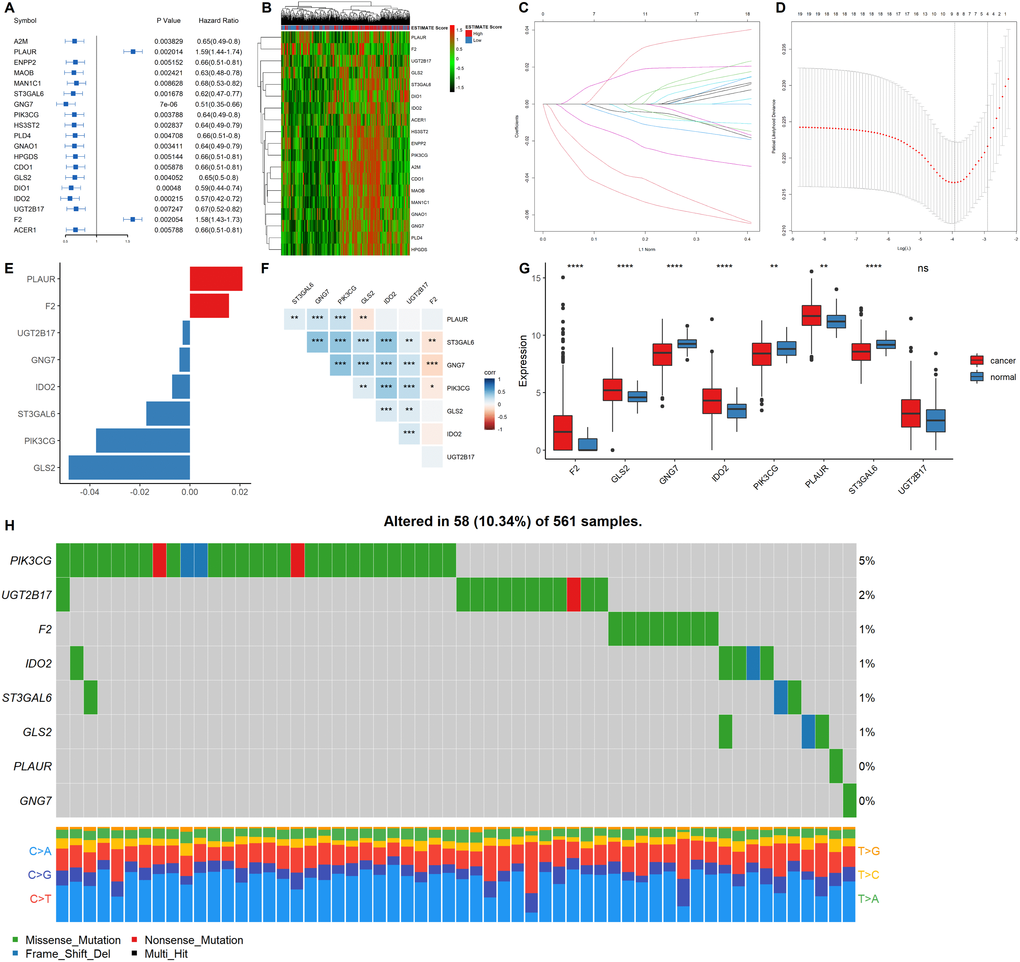 Construction of a prognostic gene signature. (A) Hazard ratio and p values of the selected candidate genes. (B) Heatmap showing the expression profiles of the selected candidate genes. (C–D) LASSO cox regression identified eight signature genes that were most correlated with OS. These genes were used to construct a signature model. (E) The coefficient value of the selected eight signature genes. (F) Expression correlation analysis of the eight signature genes. (G) The expression profiles of the eight signature genes in tumor and cancer samples. (H) Mutation landscape of the eight signature genes in LUAD.