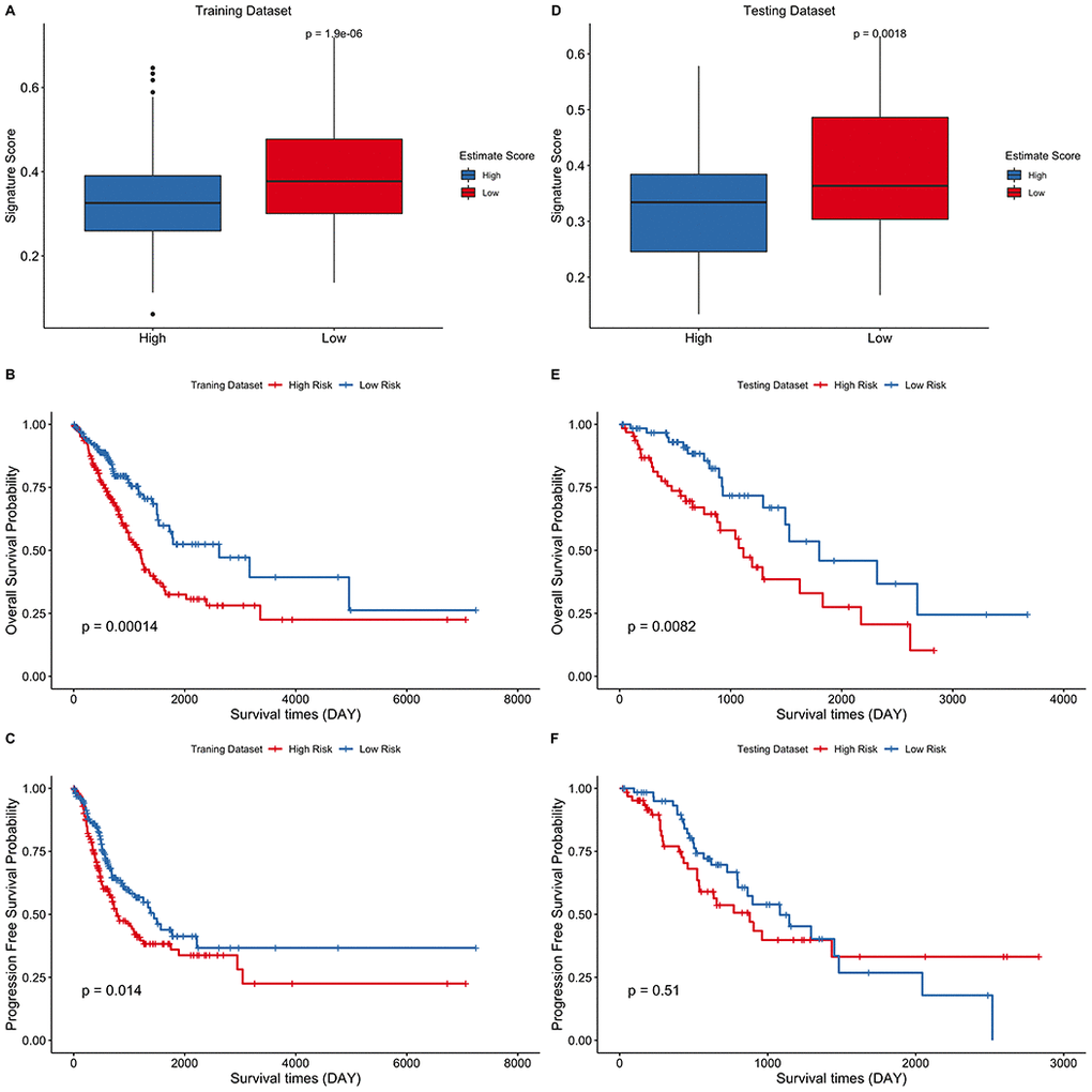 Eight-gene signature predict survival outcomes in training and testing data sets. (A–C) Training dataset (D–F) Testing dataset. LUAD cohort was divided into two groups using the median of estimate score and the risk score of the two groups was then compared. Kaplan–Meier curves for LUAD risk groups divided using the median cutoff point. Patients with higher risk score exhibited significantly poor OS outcomes.