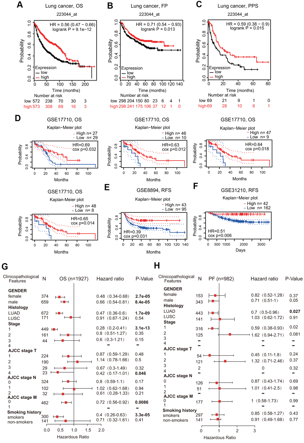 Prognostic value of FPN1 in lung cancer. (A–C) The correlation between FPN1 expression and OS, FP, and PPS in lung cancer patients based on Kaplan-Meier plotter. (D–F) In the PrognoScan database, the GSE17710, GSE8894 and GSE31210 cohorts were utilized to investigate the correlation between FPN1 expression and OS and RFS in lung cancer patients. (G, H) A forest plot was generated to show the connection between FPN1 expression and the clinicopathological features of LUAD and LUSC patients.