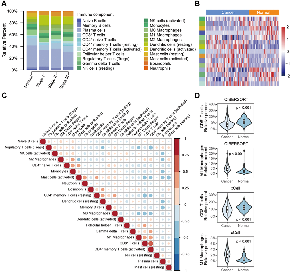 Different immune cell profiles between normal tissue and cancer tissue. (A) Relative immune cell fractions in the normal and cancer groups estimated with CIBERSORT based on gene expression profile data (GSE53625). (B) Heat map of differential immune cell fractions between the normal and cancer groups (FDR C) Correlation matrix of 22 immune cell types in the cancer group. Correlation coefficients were used to sort the cells by hierarchical clustering. (D) Violin plots of the abundance of CD8+ T cells and M1 macrophages calculated with CIBERSORT and xCell. The box plots in the violin indicate the median and interquartile range of the data distribution.