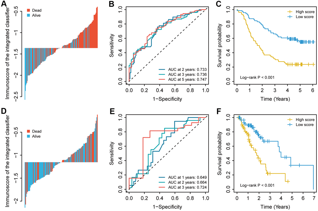 The immunoscore for each patient, the time-dependent ROC curve, and the Kaplan–Meier curves in (A–C) the training cohort and (D–F) the validation cohort. The 2-, 3-, and 5-year AUCs were used in the training cohort, and the 1-, 2-, and 3-year AUCs were used in the validation cohort to evaluate the accuracy of the prognostic model. The log-rank test was performed to analyse survival status.