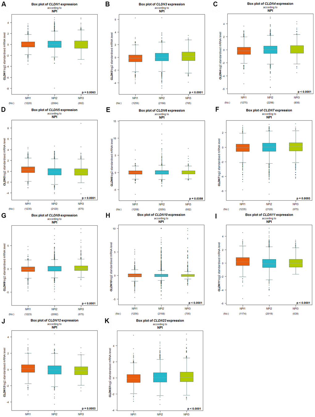 Relationship between the Claudin family and the NPI criterion. (A) CLDN1; (B) CLDN3; (C) CLDN4; (D) CLDN5; (E) CLDN6; (F) CLDN7; (G) CLDN9; (H) CLDN10; (I) CLDN11; (J) CLDN12; (K) CLDN23. Global differences between the groups were assessed by Welch’s test, and p 