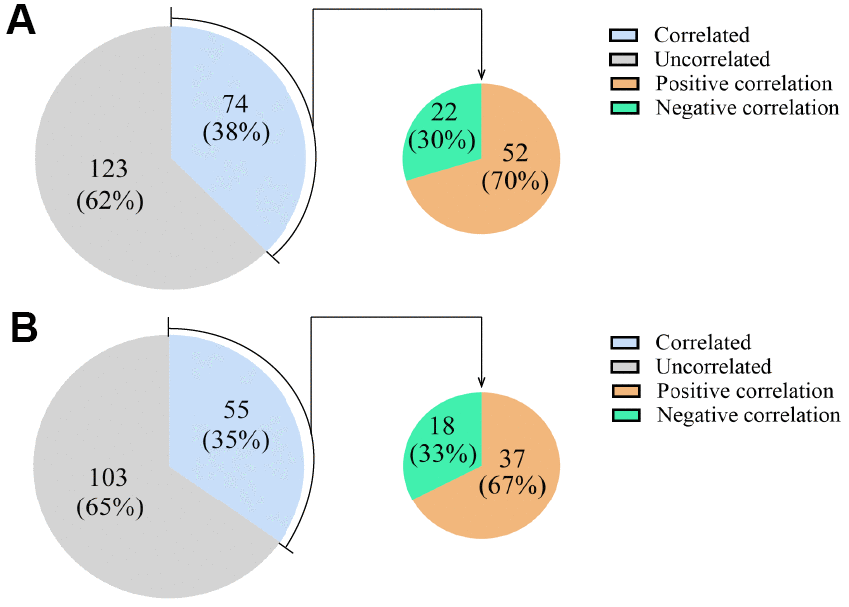 Expression correlations between DEcircRNAs/DElncRNAs and their host mRNAs. (A) The expression correlations between DEcircRNAs and their host mRNAs. (B) The expression correlations between DElncRNAs and their host mRNAs. The blue area represents the DEcircRNAs/DElncRNAs that correlated with their host mRNAs as a percentage of all the DEcircRNAs/DElncRNAs. The gray area represents the remaining DEcircRNAs/DElncRNAs. The orange area represents the DEcircRNAs/DElncRNAs that correlated positively with their host mRNAs, and the green area represents the DEcircRNAs/DElncRNAs that correlated negatively with their host mRNAs, as percentages of the DEcircRNAs/DElncRNAs that correlated with their host mRNAs.