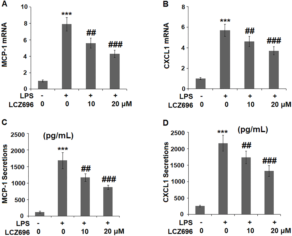 LCZ696 reduced LPS-induced expression and production of chemokines MCP-1 and CXCL1 in HUVECs