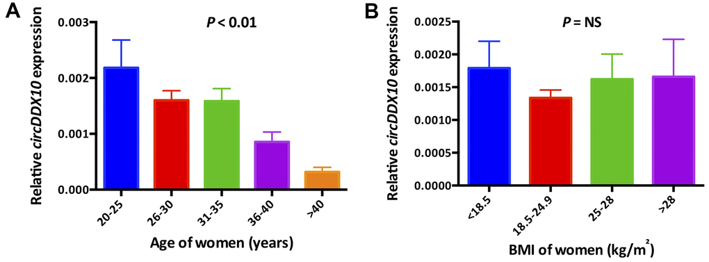 The expression levels of circDDX10 in granulosa cells from 210 human follicular fluid stratified according to female age (A) and body mass index (B). BMI, body mass index.