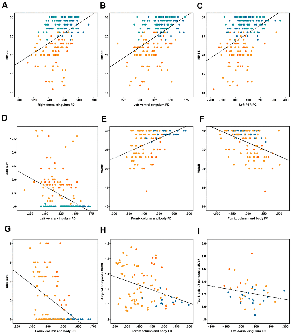 Illustrates the association between fixel-based analysis metrics and clinical data. Correlation analyses of (A–D) performed in the ZJU database. (A) Right dorsal cingulum fiber density (FD) related with MMSE (r = 0.40, P B) left ventral cingulum FD related with MMSE (r = 0.48, P C) left PTR fiber bundle cross-section (FC) related with MMSE (r = 0.43, P D) left ventral cingulum FD related with CDR sum (r = 0.42, P E–I) performed in the ADNI database. (E) Fornix column and body FD related with MMSE (r = 0.45, P F) fornix column and body FC related with MMSE (r = -0.42, P G) fornix column and body FD related with CDR sum (r = -0.45, P H) fornix column and body FD related with composite amyloid SUVR (r = -0.34, P I) right ventral cingulum FC related with tau Braak I/II composite SUVR (r = -0.53, P 