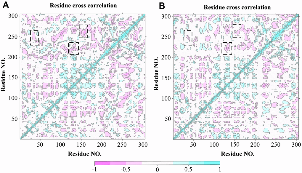 DCCM analysis of Cα atoms for 3CLpro system (A) and 3CLpro-Indinavir system (B), respectively. The red regions indicate negative correlation, and the blue regions indicate positive correlation. The darker the color, the stronger the correlation. Regions with significant differences in correlated motions have been marked with black dashed boxes.