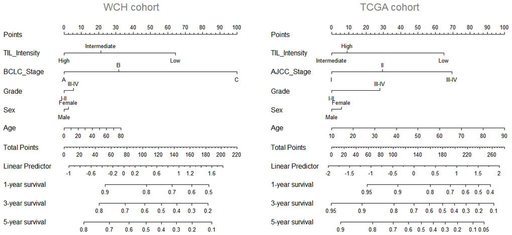 Nomogram predicting survival possibility according to TIL intensity. The values for each prediction factors are marked. From each mark, a vertical line is drawn downward to determine the points, which are subsequently added together and is marked on the Total-points line. Finally, a vertical line is followed downward to the accompanying lines indicating the 1,3 and 5 year survival possibility.