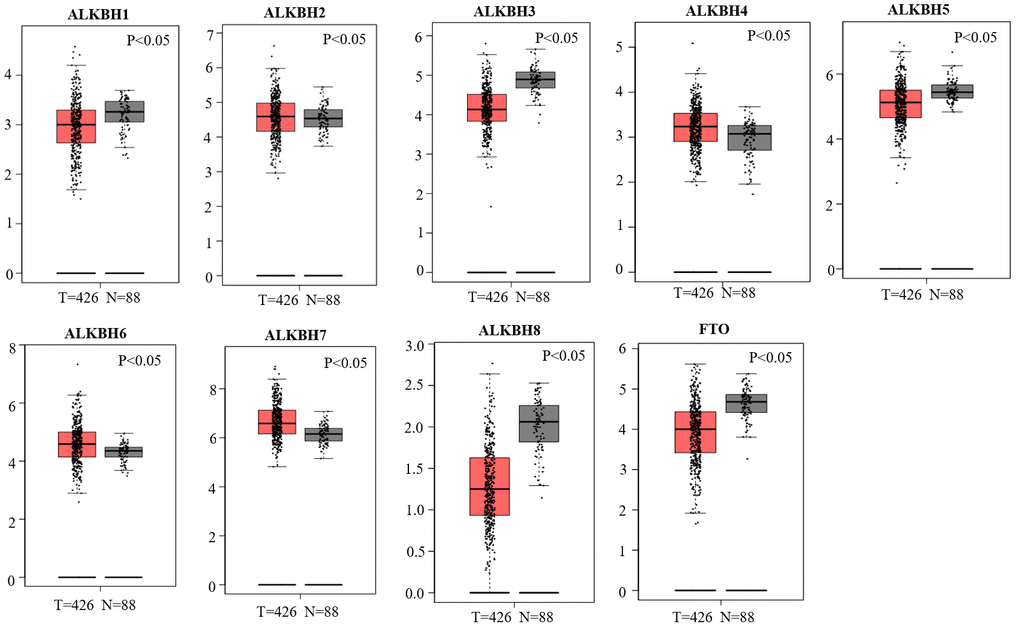 Differential mRNA expression analysis of the AlkB family in OV and normal tissues. The expression profiles were collected from the GEPIA databases.