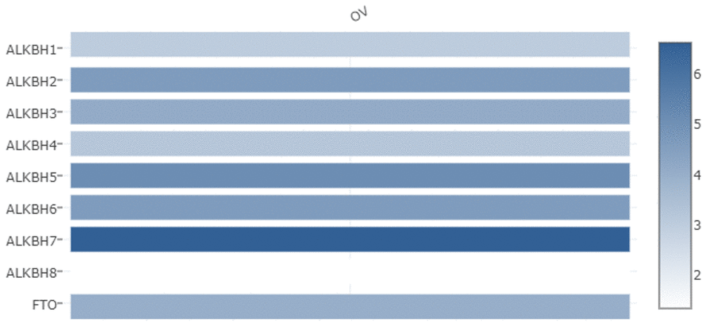 The relative expression levels of the AlkB family in OV patients. GEPIA databases were used to evaluate the relative expression levels of the AlkB family in OV patients.