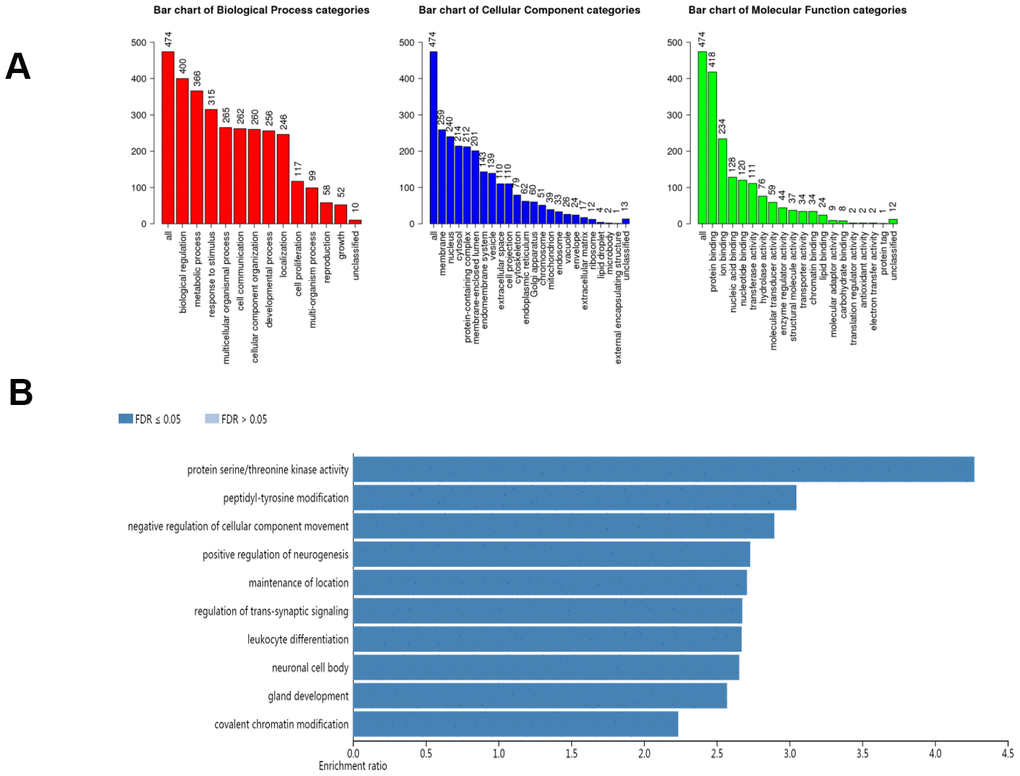 The biological pathways of the AlkB family were evaluated by the WebGestalt database. (A) Bar plot of GO enrichment in cellular components, biological processes, and molecular functions. (B) The bar plot of KEGG enrichment.