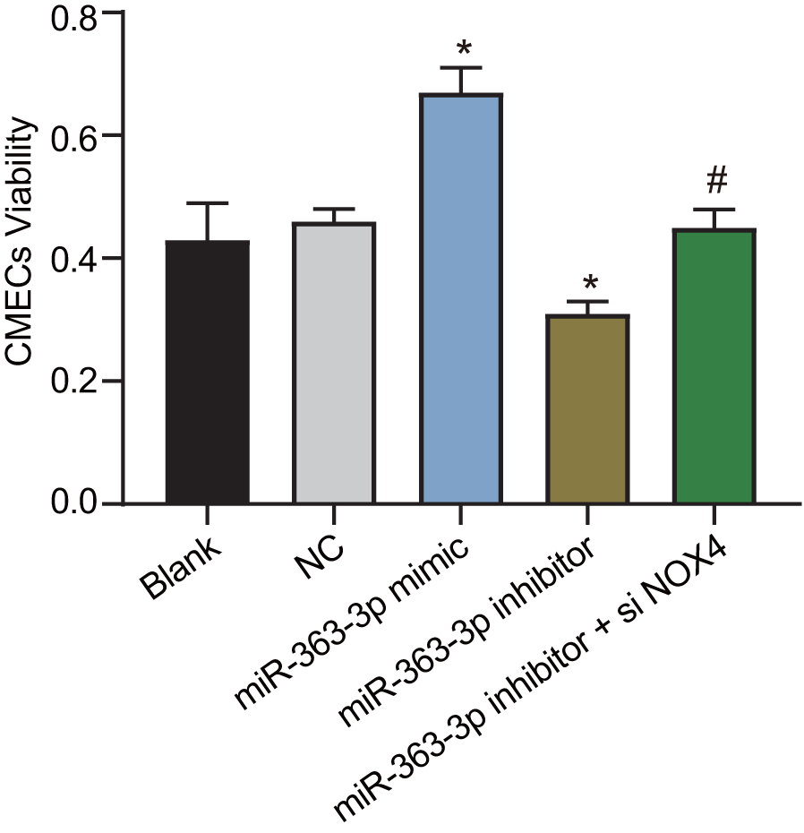 miR-363-3p promotes CAEC viability by targeting NOX4. The data were analyzed by one-way ANOVA with Tukey's post hoc test; n = 3; * p NOX4, NADPH oxidase 4; NC, negative control.