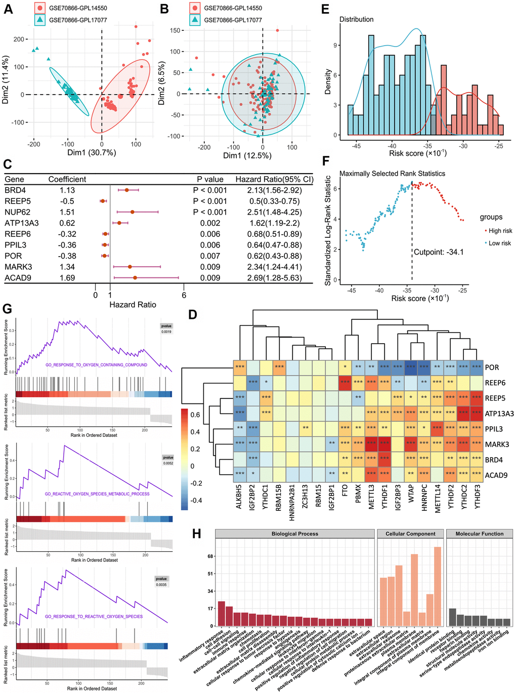 (A, B) Eliminating the batch effect between different sequencing platforms. (A) is the principal component analysis (PCA) plot before elimination of the batch effect, and (B) is the PCA plot after elimination. (C) Forest plot of 9 DEGs with P D) The correlations between the m6A-related genes and 8 m6A-related-CoV genes. (E) Histogram based on maximally selected rank grouping. (F) The cut-off point with the maximum standard log-rank statistic was marked with a vertical dashed line. (G) The plots of GSEA results. (H) GO enrichment analysis of risk DEGs.