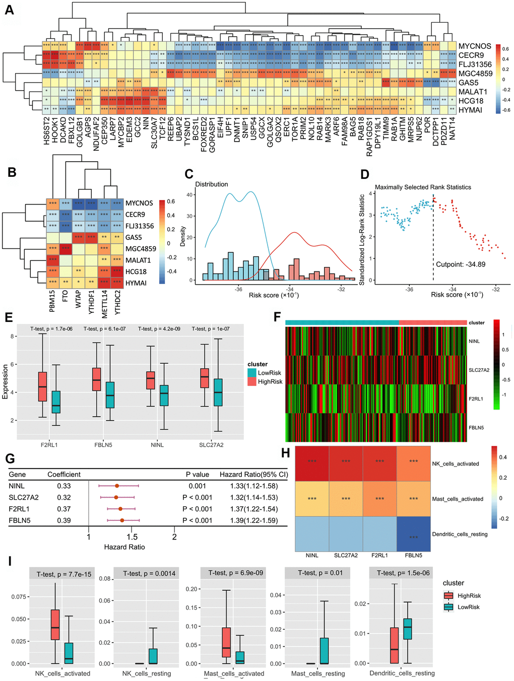 (A) The heatmap of the correlations between the lncRNAs and SARS-CoV-2 related genes. (B) The heatmap of correlations between the lncRNAs and m6A related genes. (C) Histogram based on maximally selected rank grouping. (D) The cut-off point with the maximum standard log-rank statistic was marked with a vertical dashed line. (E) The box plot showed the difference of F2RL1, FBLN5, NINL and SLC27C between low-risk group and high-risk groups. (F) The expression profiles of DEGs between the low-risk group and high-risk groups. (G) Forest plot of 9 DEGs with P H) The heatmap of the correlations between three DEGs and 4 immune cells. (I) The box plot showed the significant difference of the immune cell infiltration between two groups.