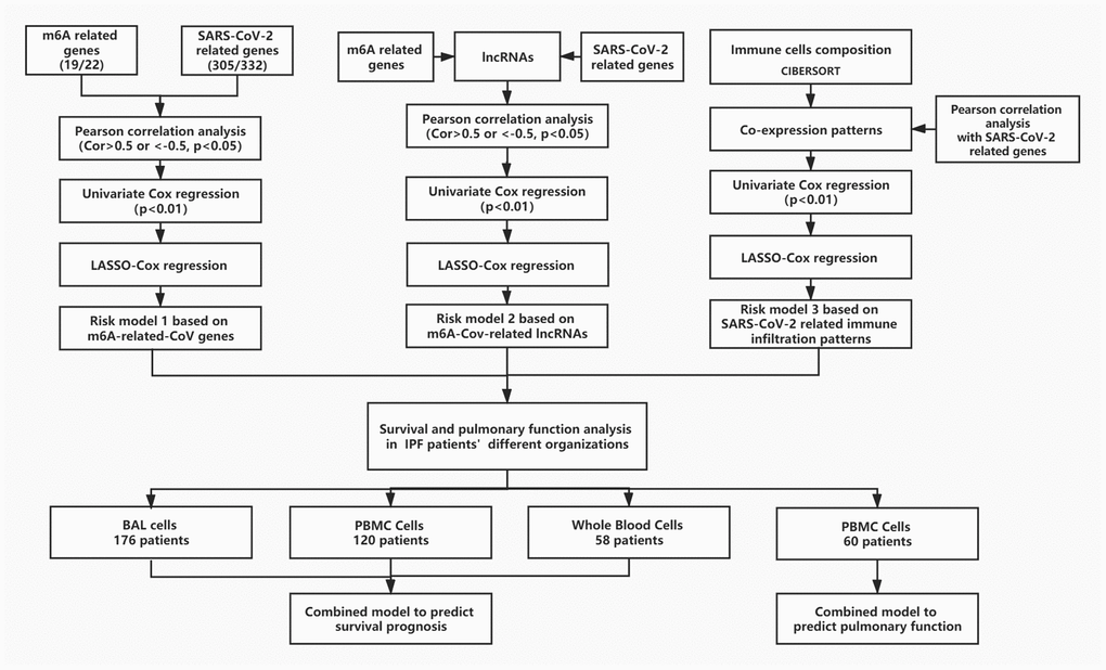 The flow chart of the general idea and methodologies used in this study.