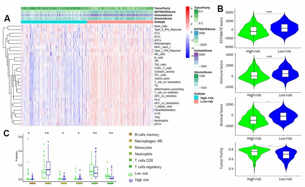 Comparison of ESTIMATE between high-risk and low-risk groups. (A, B) Tumor purity, stromal score, and immune score of different groups were evaluated by ESTIMATE. (C). Comparison of TIICs levels between two groups (ANOVA test).