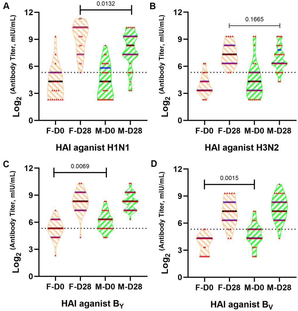Different influenza A/H1N1 antibody titers in old males and females after QIVs vaccination. Violin plots are shown for immune responses of influenza ((A) A/H1N1, (B) A/H3N2, (C) BYAM, (D) BVIC)-reactive antibody in subject sera before and after vaccination based on HAI assay, p-value 