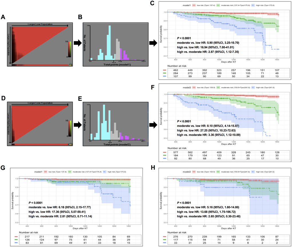 X-tile analysis of total risk score and survival curves stratified by the score calculated from nomogram scoring systems in training and validation sets. In training set: (A–B) X-tile plot and total points histogram showing the optimal cut-points of model 1. (C) Kaplan-Meier (KM) survival curve of different risk groups based on cut-points obtained from model 1 X-tile analysis. (D–E) X-tile plot and total points histogram showing the optimal cut-points of model 2. (F) KM survival curve of different risk groups based on cut-points obtained from model 2 X-tile analysis. In validation set: (G–H). KM survival curves of KTRs stratified by optimal cut-points from model 1 (G) and model 2 (H).