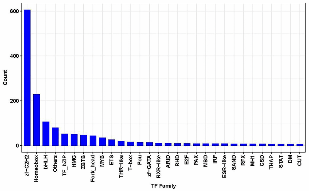 Results of TF family gene counts. This chart showed the top significantly enriched TF family (X-axis) with the gene count (Y-axis).