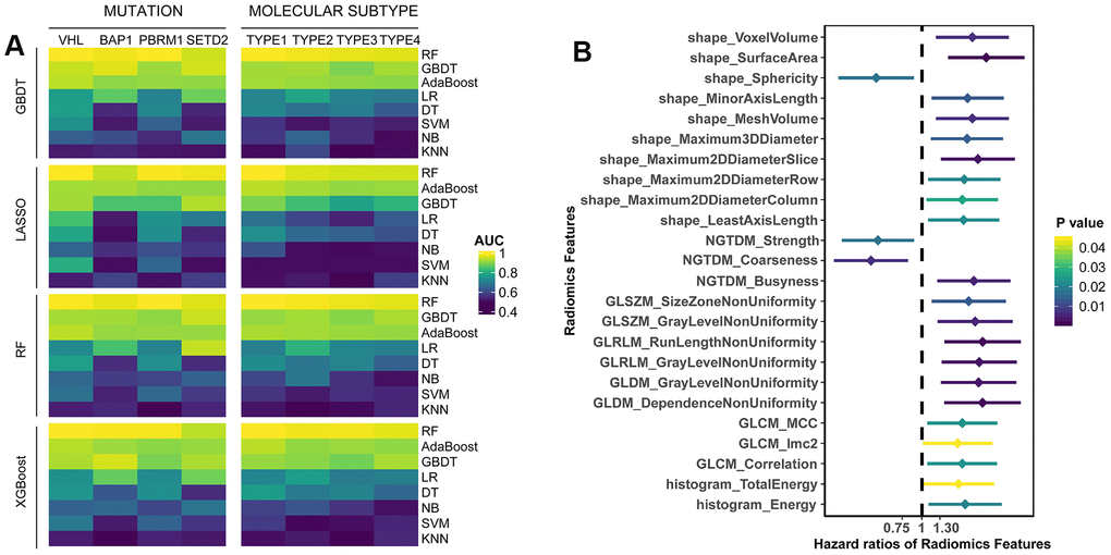 (A) The predictive performance of radiomics features for somatic mutations and molecular subtypes in test set. Four algorithms (GBDT, LASSO, RF, XGBoost) were used for feature selection, and eight algorithms (RF, GBDT, AdaBoost, LR, DT, SVM, NB, KNN) were utilized for classification. (B) Univariate survival analysis of radiomics features. Patients were divided into two groups based on the median value of each feature.