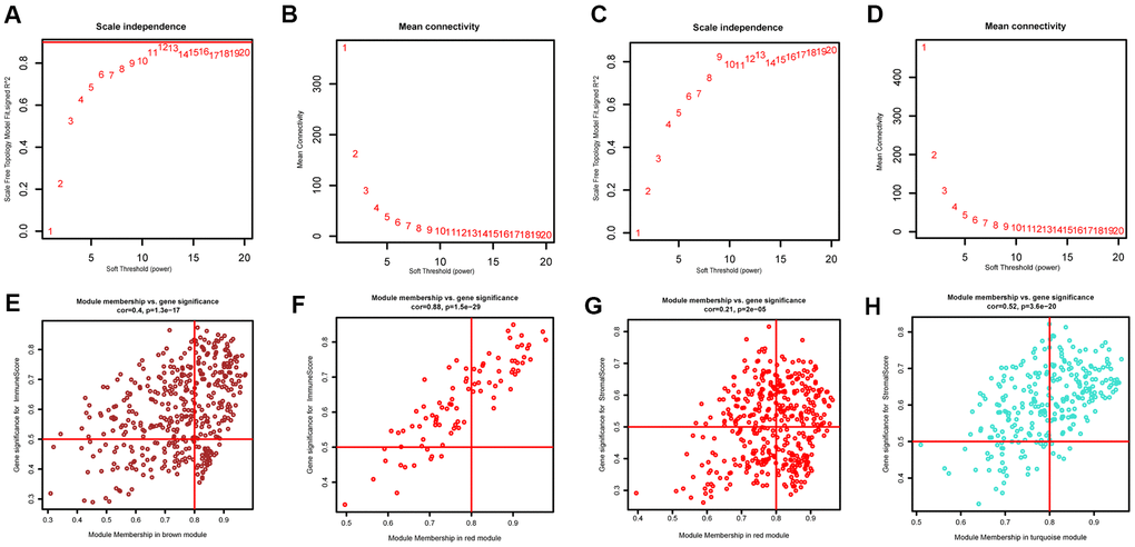 Determination of soft-thresholding power and scatter plot of module eigengenes in WGCNA. (A, C) Analysis of the scale-free fit index for various soft-thresholding powers. (B, D) Analysis of the mean connectivity for various soft-thresholding powers. (E, F) Scatter plot of module eigengenes in key modules that were highly correlated with immune sores. (G, H) Scatter plot of module eigengenes in key modules that were highly correlated with stromal sores.